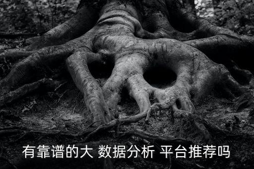 有靠譜的大 數(shù)據(jù)分析 平臺(tái)推薦嗎