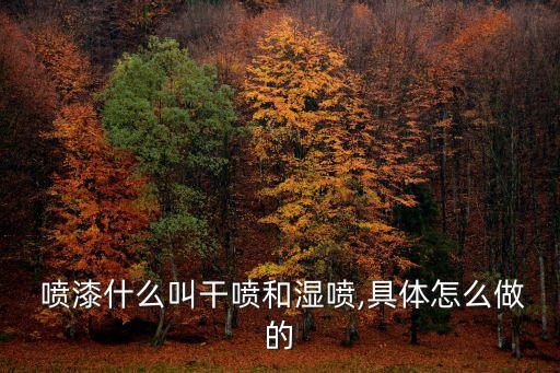 自動噴漆spRAY,噴漆也叫手工漆一般噴兩遍就可上漆