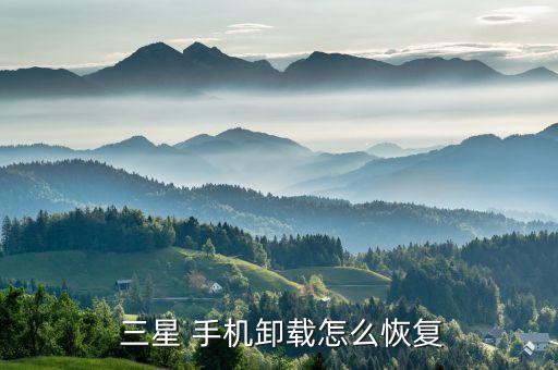  三星 手機卸載怎么恢復(fù)