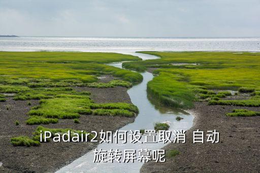 自動旋屏 禁用,屏幕切換控件可開啟或關(guān)閉屏幕旋轉(zhuǎn)功能