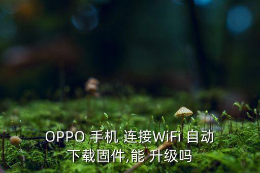OPPO 手機 連接WiFi 自動下載固件,能 升級嗎