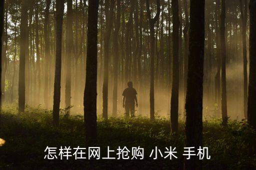 怎樣在網(wǎng)上搶購 小米 手機(jī)