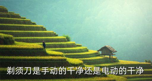 剃須刀是手動的干凈還是電動的干凈