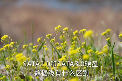 sata sata3 數(shù)據(jù)線,SATA II接口和SATA3通用嗎