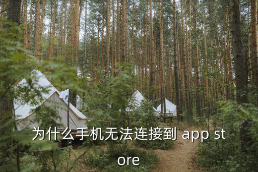 為什么手機(jī)無(wú)法連接到 app store