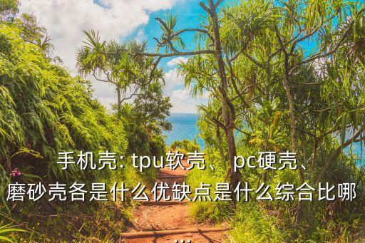手機(jī)殼: tpu軟殼、 pc硬殼、磨砂殼各是什么優(yōu)缺點(diǎn)是什么綜合比哪...