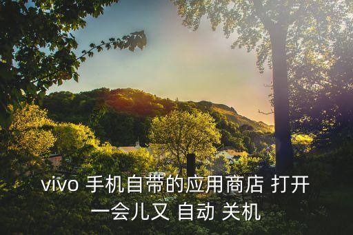 vivo 手機自帶的應(yīng)用商店 打開一會兒又 自動 關(guān)機