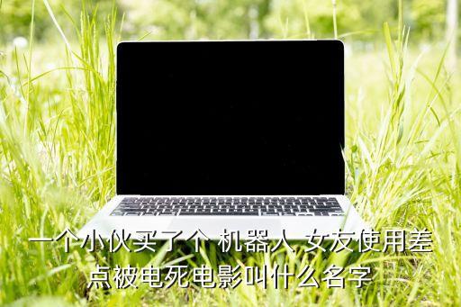 一個小伙買了個 機器人 女友使用差點被電死電影叫什么名字