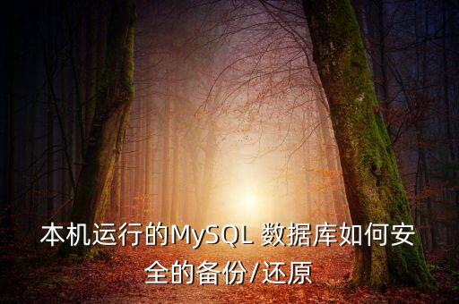 本機(jī)運(yùn)行的MySQL 數(shù)據(jù)庫如何安全的備份/還原