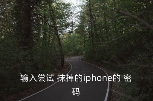 輸入嘗試 抹掉的iphone的 密碼