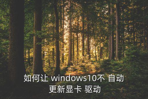windows驅(qū)動自動更新,如何啟用s10自動更新?