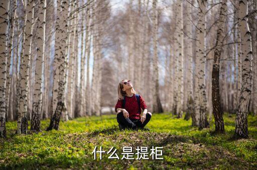 什么是提柜