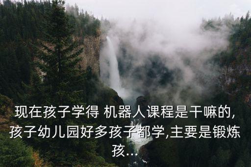 現(xiàn)在孩子學(xué)得 機器人課程是干嘛的,孩子幼兒園好多孩子都學(xué),主要是鍛煉孩...