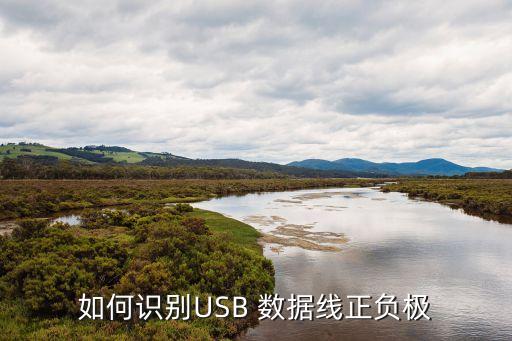 如何識別USB 數(shù)據(jù)線正負極