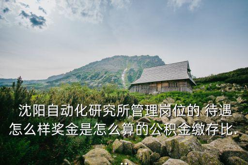  沈陽自動化研究所管理崗位的 待遇怎么樣獎金是怎么算的公積金繳存比...