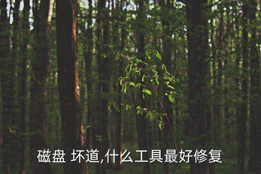磁盤 壞道,什么工具最好修復(fù)