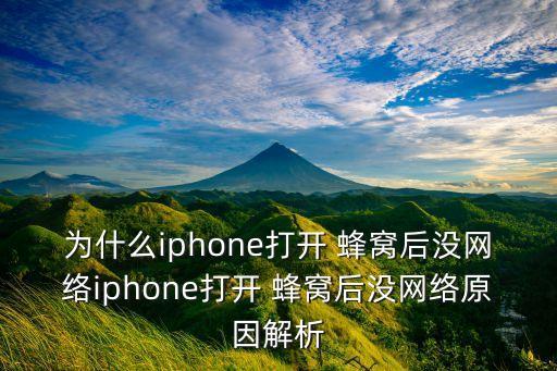 蘋果手機(jī)開啟蜂窩數(shù)據(jù)沒有網(wǎng)