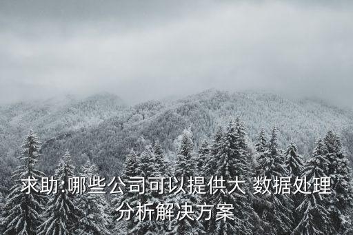 求助:哪些公司可以提供大 數(shù)據(jù)處理分析解決方案