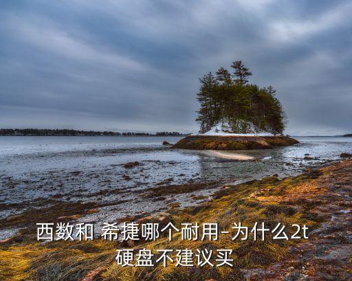 西數(shù)和 希捷哪個(gè)耐用–為什么2t 硬盤不建議買