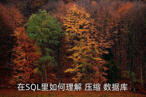 在SQL里如何理解 壓縮 數(shù)據(jù)庫(kù)