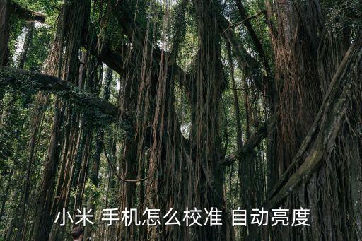  小米 手機怎么校準 自動亮度