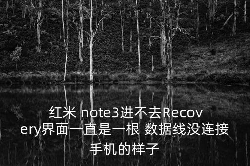 紅米note3數(shù)據(jù)線