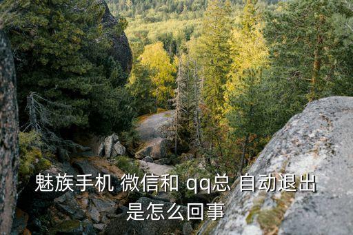 魅族手機(jī) 微信和 qq總 自動(dòng)退出是怎么回事