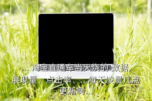 ... 淘寶直通車當(dāng)天燒的 數(shù)據(jù),展現(xiàn)量、點擊率、...每天凌晨幾點更新啊...