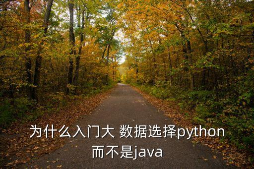 為什么入門大 數(shù)據(jù)選擇python而不是java