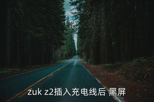 zuk z2插入充電線后 黑屏