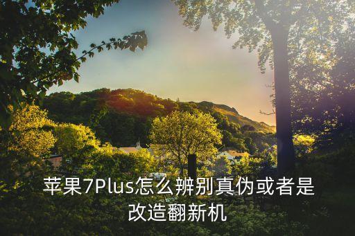  蘋果7Plus怎么辨別真?zhèn)位蛘呤歉脑旆聶C(jī)