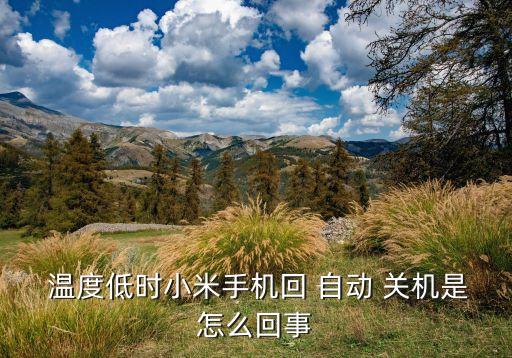 安卓機溫度低自動關(guān)機,手機低溫觸發(fā)保護機制會自動關(guān)機