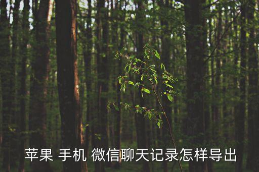  蘋果 手機(jī) 微信聊天記錄怎樣導(dǎo)出