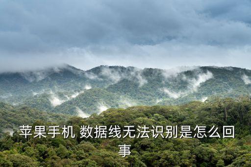  蘋果手機 數(shù)據(jù)線無法識別是怎么回事