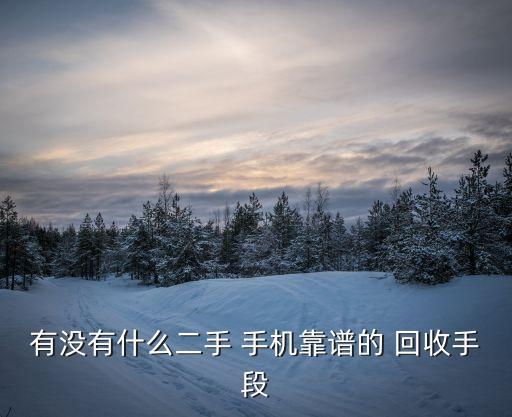 手機(jī)回收自動機(jī)器人,一站式收貨回收手機(jī)機(jī)器人了解一下