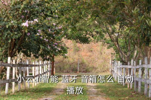 藍牙音箱自動喚醒,如何使用蕭艾音響?