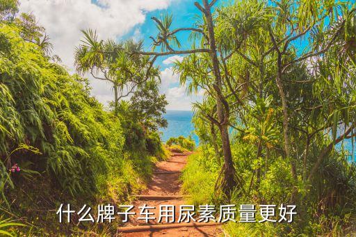 四州汽車自動液,車用尿素又叫柴油尾氣處理液汽車環(huán)保尿素