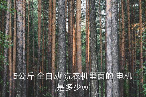 5公斤 全自動(dòng) 洗衣機(jī)里面的 電機(jī)是多少w