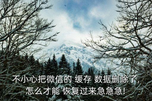 不小心把微信的 緩存 數(shù)據(jù)刪除了,怎么才能 恢復(fù)過(guò)來(lái)急急急!