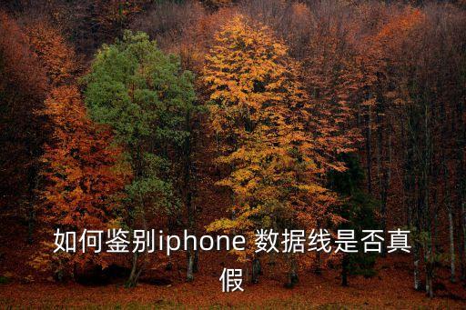 如何鑒別iphone 數(shù)據(jù)線是否真假