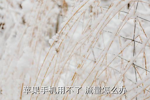 蘋果手機(jī)用不了 流量怎么辦