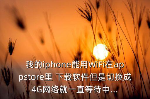 我的iphone能用WiFi在appstore里 下載軟件但是切換成4G網(wǎng)絡(luò)就一直等待中...