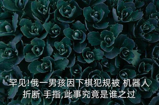 罕見(jiàn)!俄一男孩因下棋犯規(guī)被 機(jī)器人折斷 手指,此事究竟是誰(shuí)之過(guò)