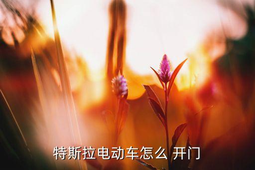 特斯拉電動車怎么 開門