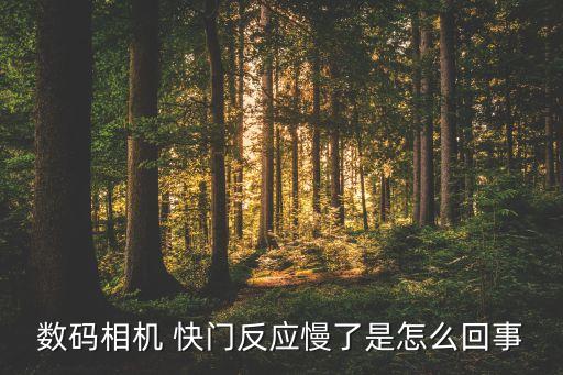 自動緩慢快門,如果光線不足快門會慢慢開啟和關(guān)閉