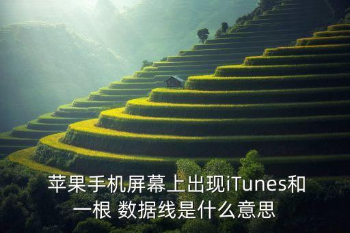  蘋(píng)果手機(jī)屏幕上出現(xiàn)iTunes和一根 數(shù)據(jù)線(xiàn)是什么意思