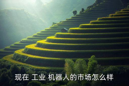 現(xiàn)在 工業(yè) 機(jī)器人的市場(chǎng)怎么樣