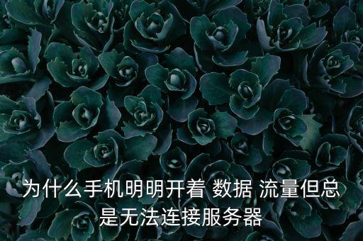 為什么手機明明開著 數據 流量但總是無法連接服務器