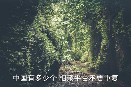 中國有多少個 相親平臺不要重復(fù)