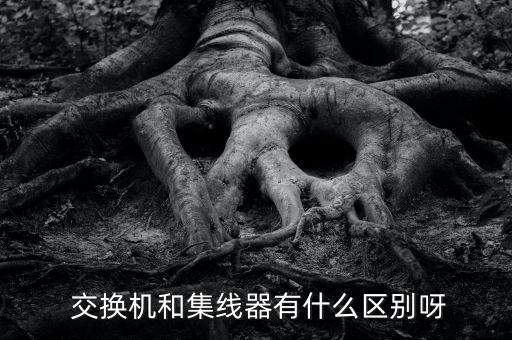 大數(shù)據(jù)平臺 交換機,數(shù)據(jù)交換機的作用